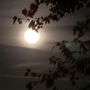 Meet your Posher, Gabrielle